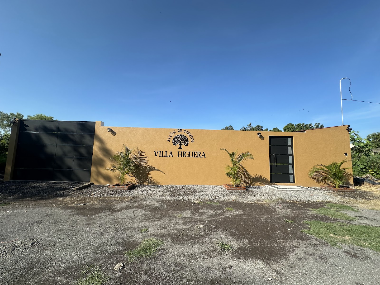 leetx-google-photo-81794-4 leetx-google-photo-81794-4