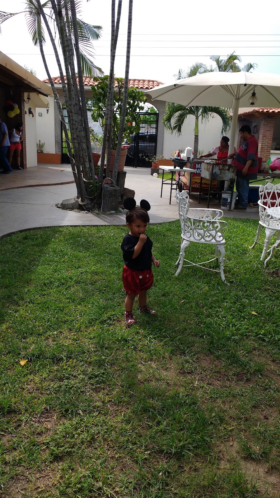 leetx-google-photo-82059-7 leetx-google-photo-82059-7