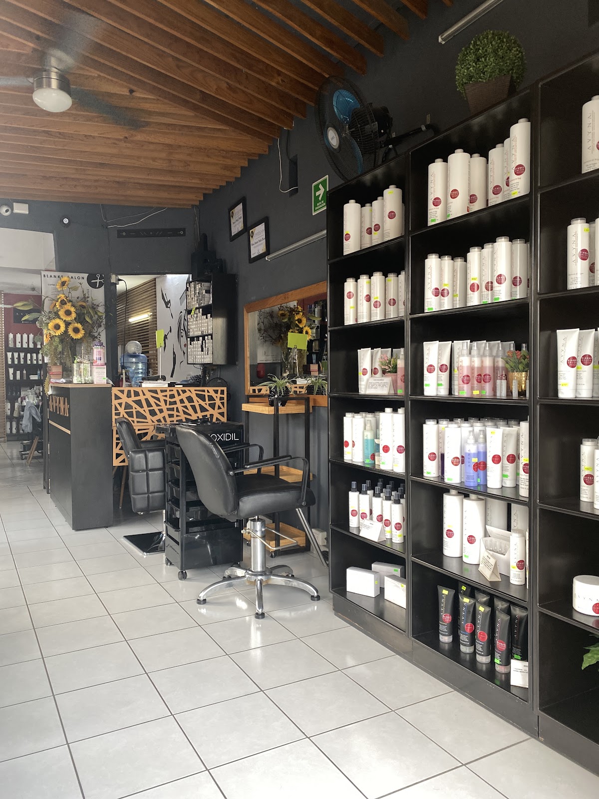 leetx-google-photo-82292-2 leetx-google-photo-82292-2