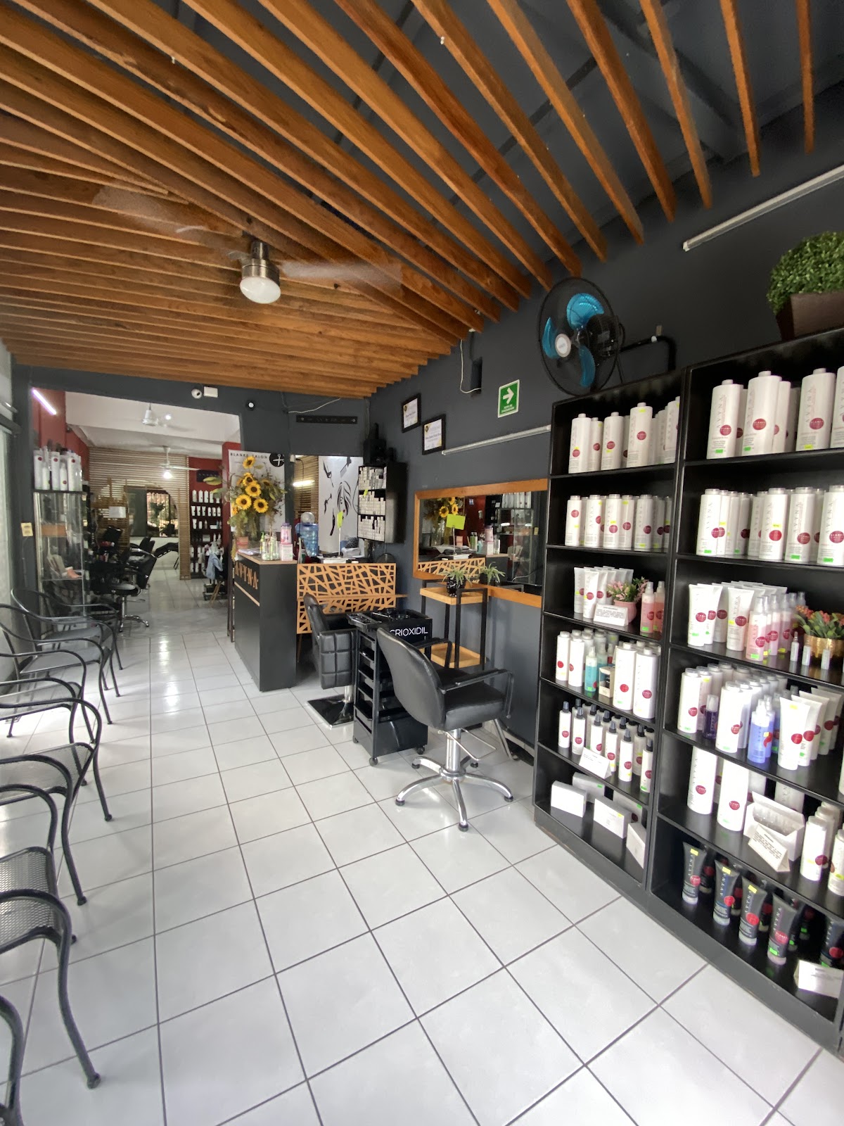 leetx-google-photo-82292-6 leetx-google-photo-82292-6