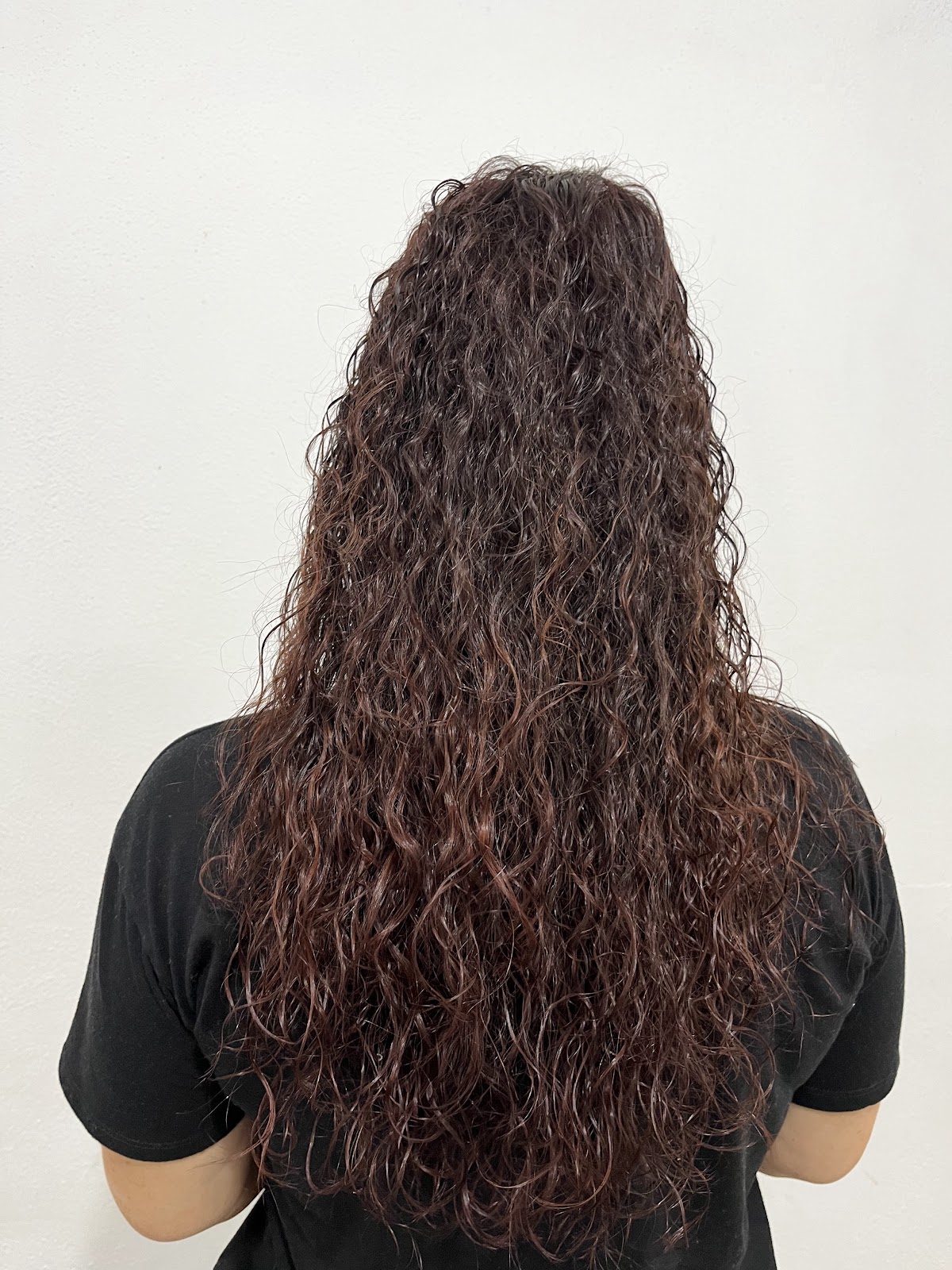 leetx-google-photo-82365-4 leetx-google-photo-82365-4