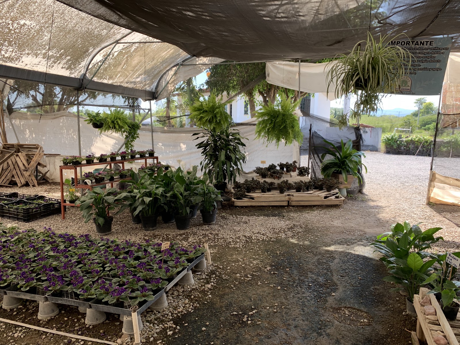 leetx-google-photo-85958-3 leetx-google-photo-85958-3