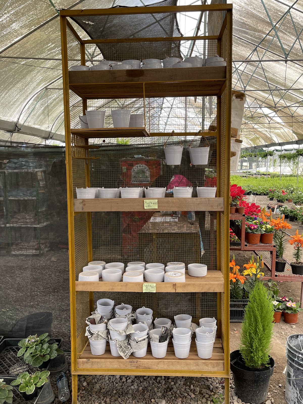 leetx-google-photo-85958-4 leetx-google-photo-85958-4