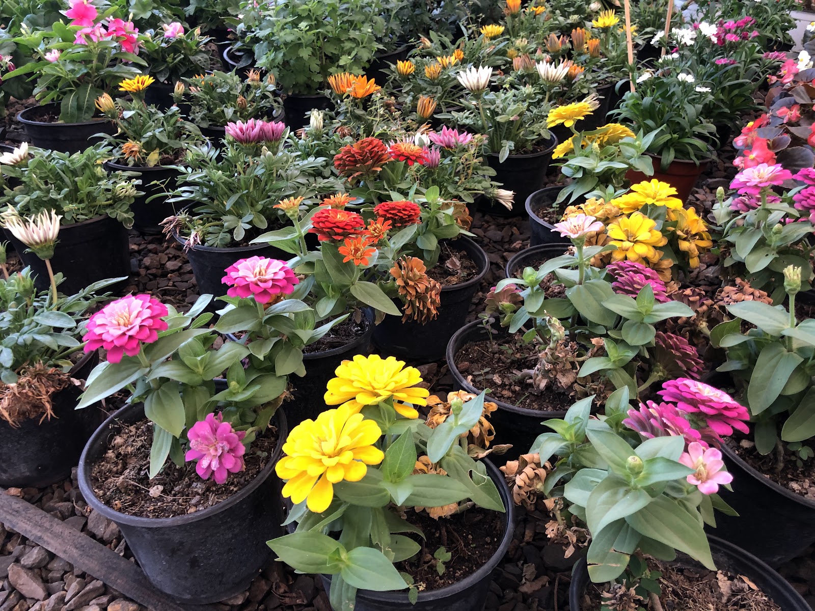 leetx-google-photo-85958-6 leetx-google-photo-85958-6