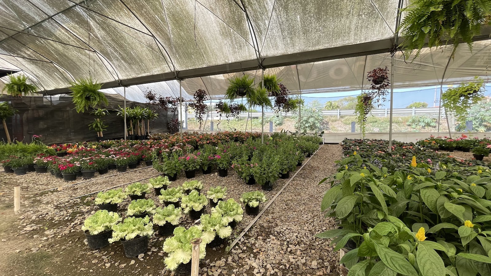 leetx-google-photo-85958-7 leetx-google-photo-85958-7