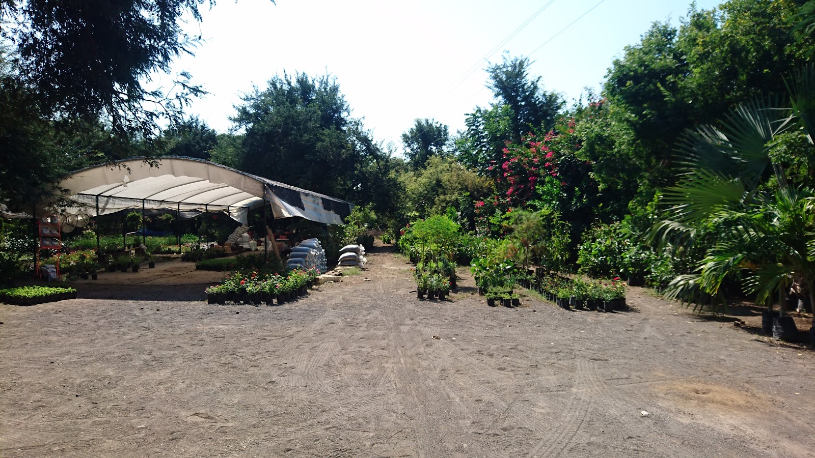 leetx-google-photo-85968-4 leetx-google-photo-85968-4